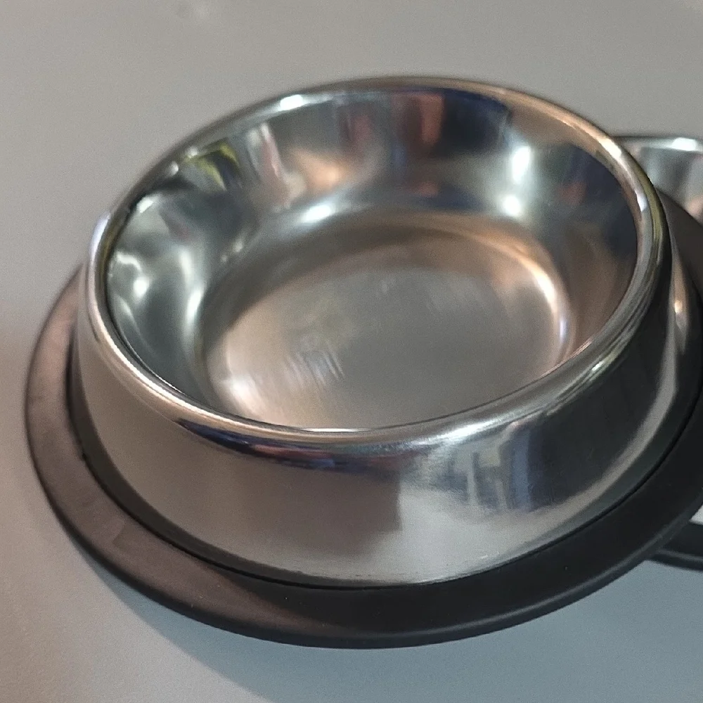 Stainless Steel Pet Bowls with Black Trim